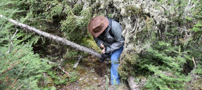 Isle Royale National Park – Hit the ground hiking